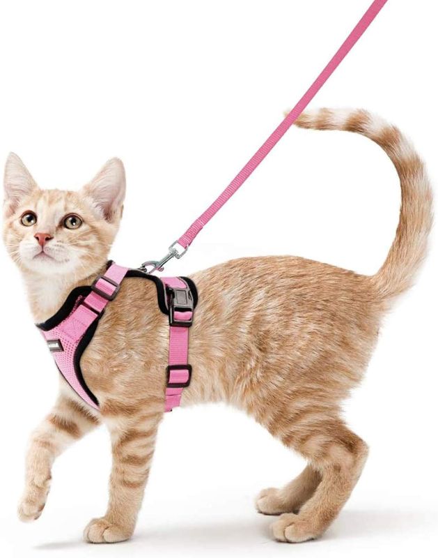 Photo 1 of rabbitgoo Cat Harness and Leash for Walking, Escape Proof Soft Adjustable Vest Harnesses for Cats, Easy Control Breathable Reflective Strips Jacket, Pink, XS