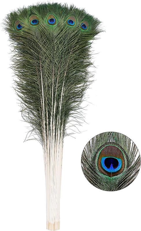 Photo 1 of Ballinger 20pcs Natural Peacock Feathers Long Pole Bulk 40-45 inch for DIY Craft, Wedding Holiday Decorationn and Floral Arrangement