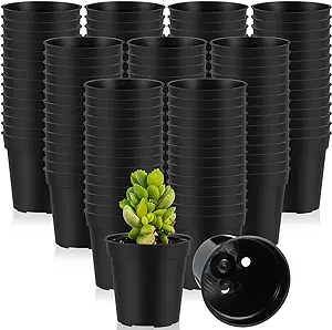 Photo 1 of  2 Inch Black Mini Plastic Plant Pot Nursery Pots Seedling Pots Seed Starter Pots with Drainage Holes for Indoor Outdoor Garden Succulent Plants Seedlings Cuttings Transplanting