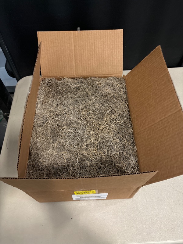 Photo 3 of Royal Imports Preserved Natural Spanish Moss, Fresh Dried Shredded Loose Chunks, 3 LB Bulk Case