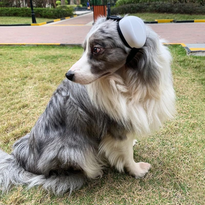 Photo 3 of Dog Earmuffs for Hearing Protection 29dB NRR Ear Muffs Noise Protection (Small, White)