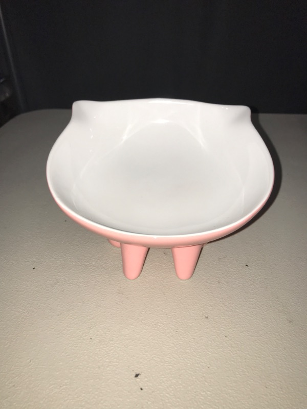 Photo 1 of ViviPet Raised Ceramic Cat Food Q Bowl Dish, Tilt Angle Protect Cat's Spine, Stress for Cat