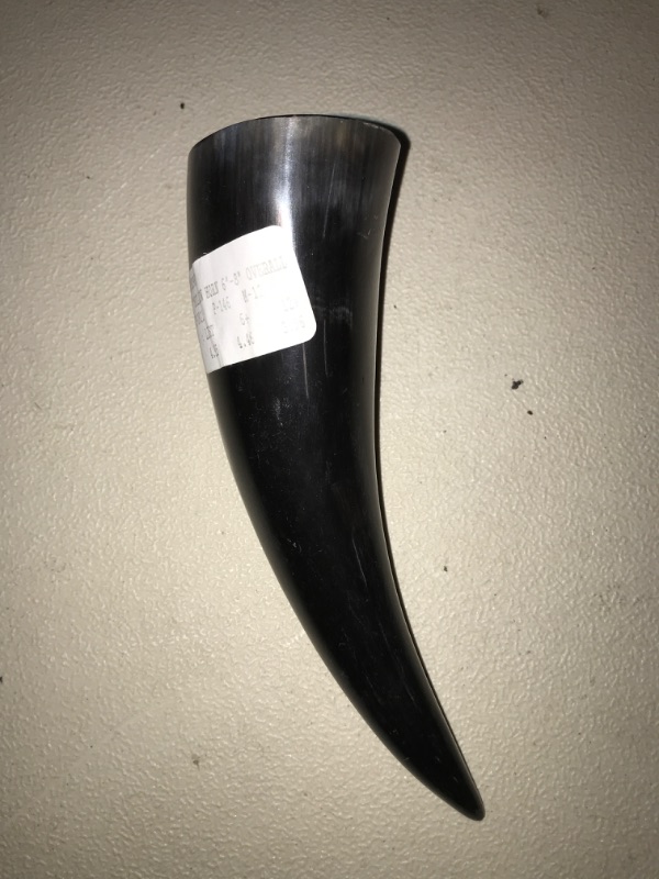 Photo 2 of AleHorn Genuine Handmade Pocket Viking Drinking Horn | Father’s Day Gift Ideas - Authentic Toasting Vessel Shot Glass Perfect for Whiskey Beer Wine Ale and Mead Champagne Horn (Toasting vessel)