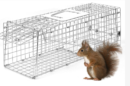 Photo 1 of 1 Pcs 24 x 8 x 7 Inches Live Animal Cage Trap Collapsible Humane No Kill Trapping Kit Heavy Duty Squirrel Trap for Stray Cats Skunk Mole Groundhog Rabbit, Catch Release Outdoor Indoor
