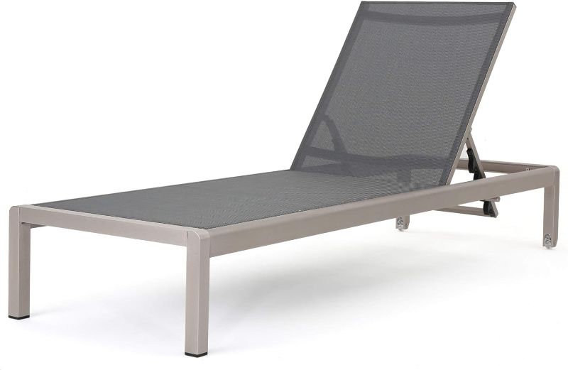 Photo 1 of Christopher Knight Home Cape Coral Outdoor Mesh Chaise Lounge, Silver / Dark Grey
