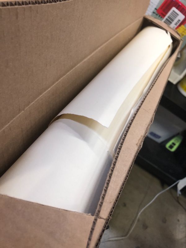 Photo 2 of Savage Seamless Background Paper - #51 Bone (107 in x 36 ft)