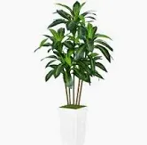 Photo 1 of ASTIDY Artificial Dracaena Tree 5FT - Faux Tree with White Tall Planter - Fake Tropical Yucca Floor Plant in Pot - Artificial Silk Tree for Home Office Living Room Decor Indoor White Dracaena