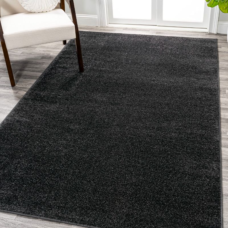 Photo 1 of JONATHAN Y SEU100I-9 Haze Solid Low-Pile Indoor Area Rug, Farmhouse Bohemian Minimalist Easy Cleaning,Bedroom,Kitchen,Living Room,Non Shedding, Black, 9 X 12 Black 9 X 12