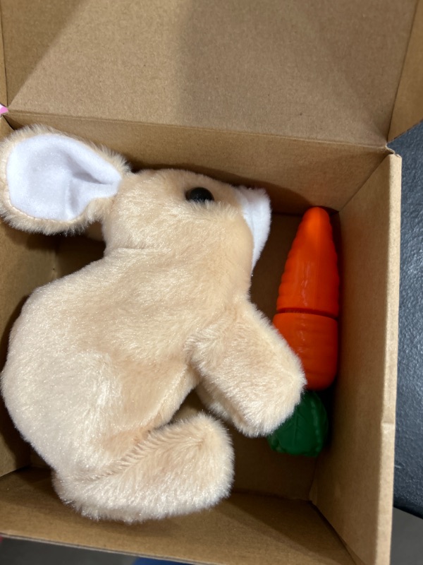 Photo 1 of Toy Rabbit with carrot