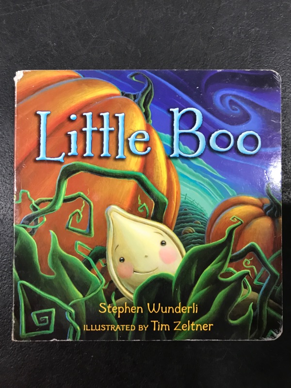 Photo 1 of Little Boo Board book – Picture Book, August 9, 2016 by Stephen Wunderli (Author), Tim Zeltner (Illustrator)