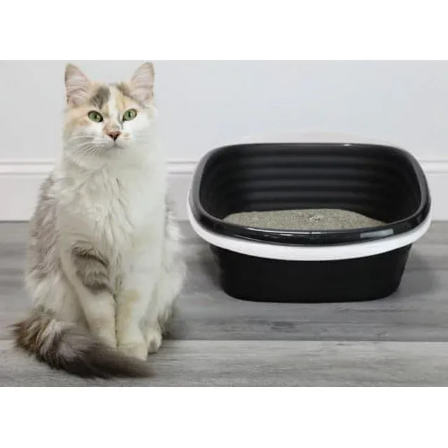 Photo 1 of  Sifting Cat Litter Box, 2 Open Top Plastic Cat Litter Pans and Cat Litter Tray, Large, Black