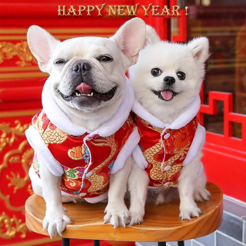 Photo 1 of [Size: M (Chest circumference 15.7in)] BAMY New Year Dog Dragon Robe Costume Warm Cat Cheongsam Winter Pet Clothes Vest of The Tang Dynasty Christmas Coat for Cats Teddy Bichon Small Medium Dogs