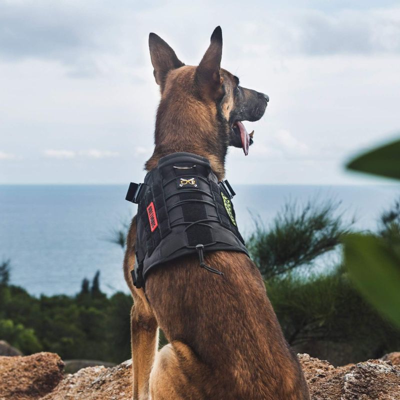 Photo 1 of OneTigris Tactical Dog Harness Vest,No-Pull Service Dog Vest with Hook & Loop Panels,Adjustable Dog Vest Harness for Walking Hiking Training(Black,XS)
