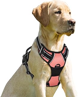 Photo 1 of Limited-time deal: BARKBAY No Pull Dog Harness Front Clip Heavy Duty Reflective Easy Control Handle for Large Dog Walking(Light Pink,M) https://a.co/d/eFYbQ9k