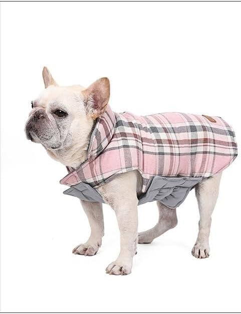 Photo 1 of xs--pet Coat Winter Padded Coat for Dogs and Cats  