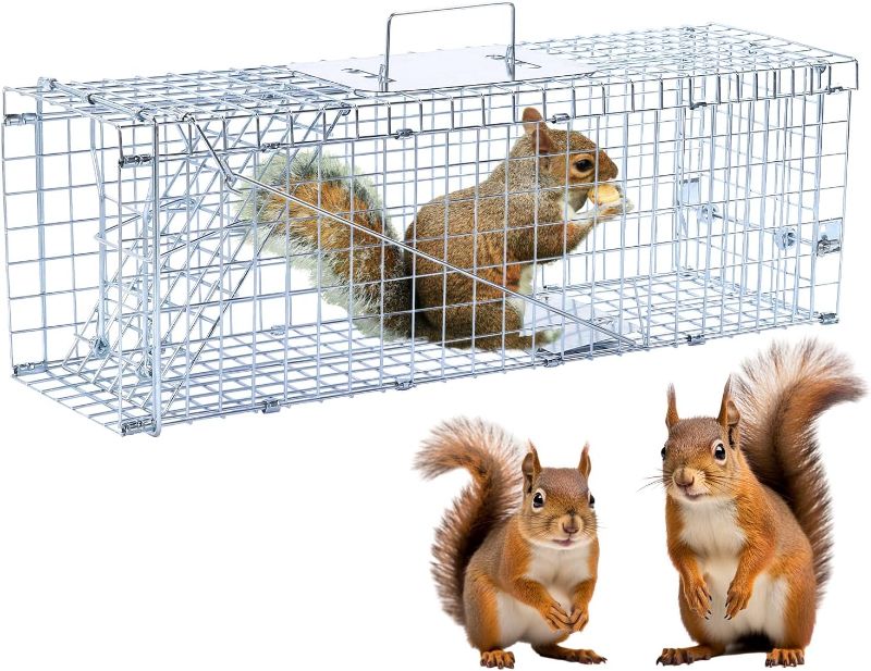 Photo 1 of 24" Live animal trap, humane animal trap for stray cats up to 5.5 pounds, raccoons, squirrels, skunks, moles, marmots, armadillos, rabbits, steel folding with pedal trigger
