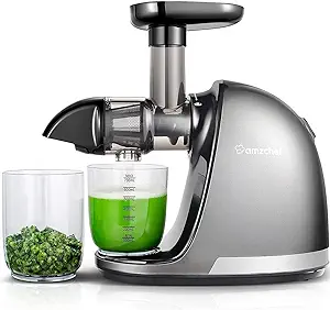 Photo 1 of  Masticating Juicer Machines, AMZCHEF Slow Cold Press Juicer with Reverse Function, High Juice Yield, Easy Clean with Brush,Recipes for High Nutrient Fruits and Vegetables, Gray(Updated)