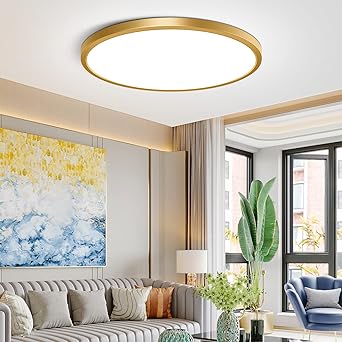 Photo 1 of 12Inch LED Ceiling Light Fixture Flush Mount, 24W(240W Equivalent), 3200LM, 5000K Daylight White, IP40, Flat Modern Round Ceiling Light for Bedrooms, Living Rooms, Bathrooms, Stairwells, etc.(Gold)
Visit the NELTBESIN Store