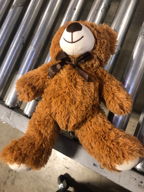 Photo 1 of teddy bear - size small -