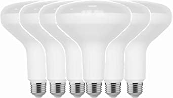 Photo 1 of Home Depot 75-Watt Equivalent BR40 CEC Dimmable LED Light Bulb 2700K Soft White (6-Pack) Damp Location Rated

