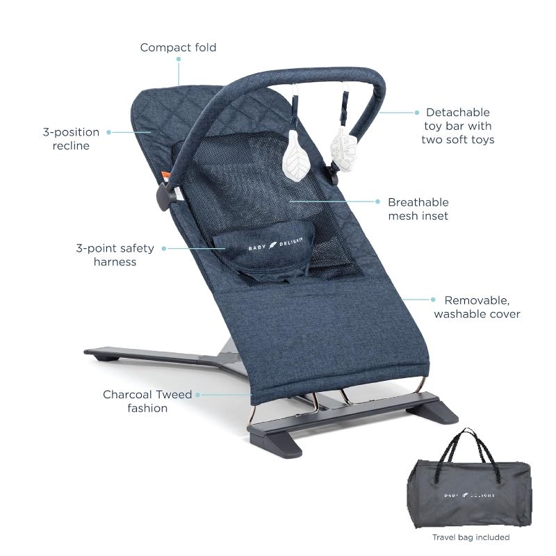 Photo 1 of Baby Delight Alpine Deluxe Portable Bouncer | Infant | 0 – 6 months | Charcoal Tweed