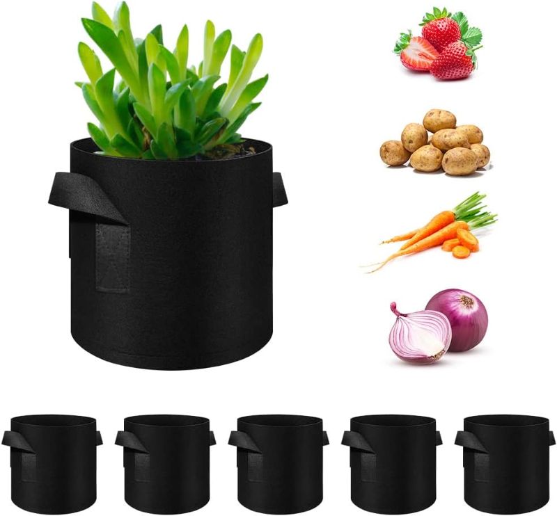 Photo 1 of 10 Gallon Grow Bags 10-Pack Black Thickened Nonwoven Fabric Pots with Handles
