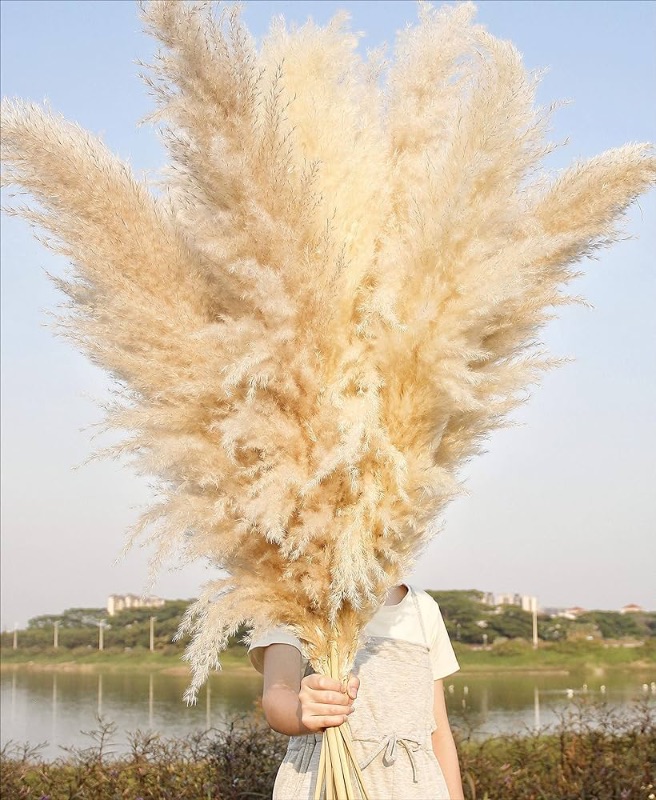 Photo 1 of 10 Stems 46" inch Dried Pampas Grass Decor Tall, Large Pompas Grass, Boho Neutral Home Decor Bouquet, Fluffy Pampass Grass for Floor Vase Wedding Floral Arrangements Wall Farmhouse Table Decor