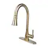 Photo 1 of 
FLOW
Classic Series Single-Handle Pull-Down Sprayer Kitchen Faucet in Champagne Gold