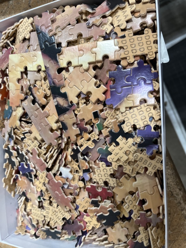 Photo 1 of 1,000 puzzle piece