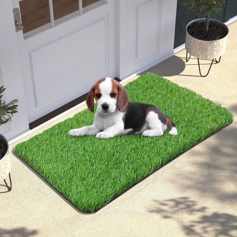 Photo 1 of Artificial Grass Door Mat, 30 X 18 Inches Artificial Grass for Dogs, Professional Pee Pad for Dogs Potty Training Home Area Patio Lawn Garden DIY Decoration
