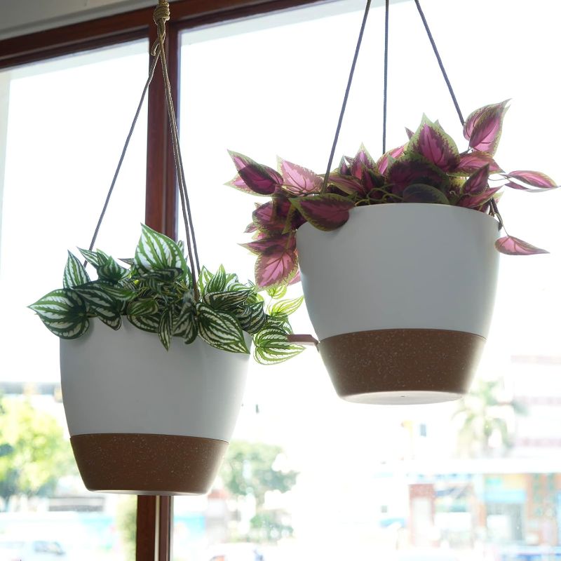 Photo 1 of 10 Inch Self Watering Hanging Pots