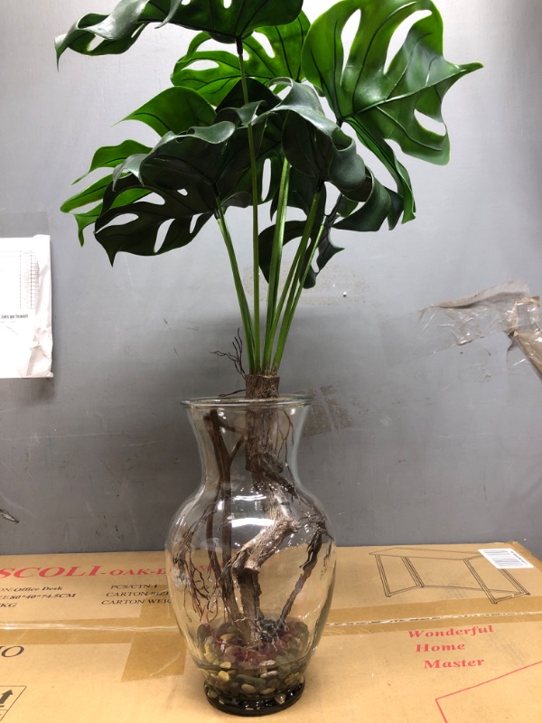 Photo 2 of 
Nearly Natural 26in. Monstera Plant in Rocks with Glass Vase