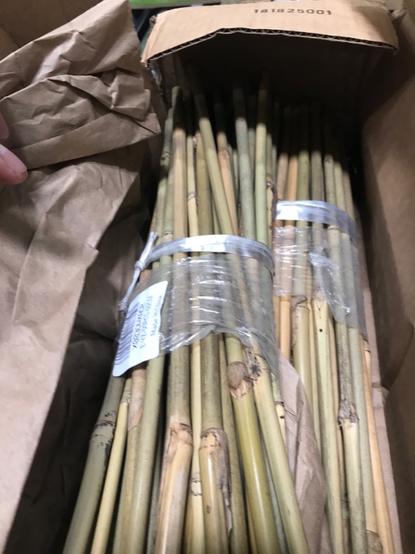 Photo 2 of 50Pcs Garden Stakes, 0.32”/ 2Feet Bamboo Sticks?Natural Plant Stakes for Indoor and Outdoor Plants?Poles for Tomatoes, Beans, Potted Plants… 2Ft,Pack of 50