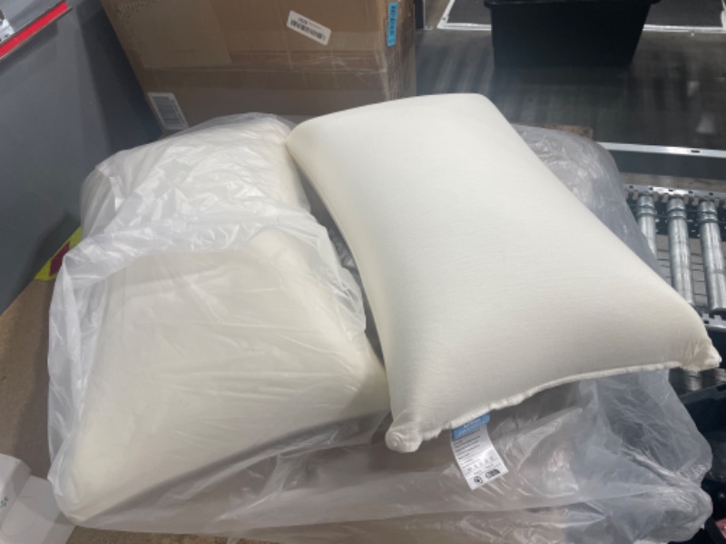 Photo 1 of 2 pack of memory foam pillows 