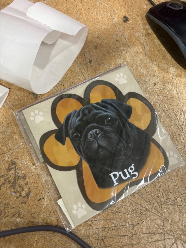 Photo 1 of Black Pug Paw Print Magnet