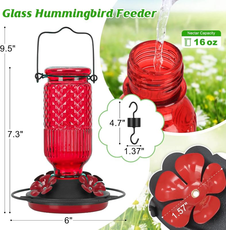 Photo 3 of (READ FULL POST) FEED GARDEN Glass Hummingbird Feeder for Outdoors Hanging, 16 OZ Humming Birds Feeders with 4 Bee Guard Feeding Ports & Built-in Ant Moat, Bird Feeder for Outside, Red