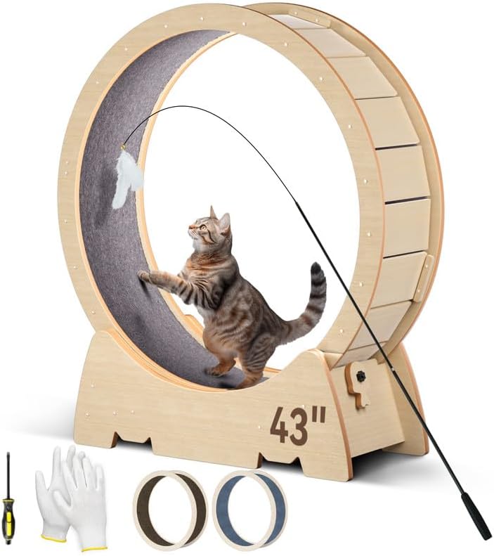 Photo 1 of ***USED - LIKELY MISSING PARTS - UNABLE TO VERIFY FUNCTIONALITY***
Cat Exercise Wheel 43.3 inch, Large Cat Running Wheel Cat Treadmill for Indoor Cats with Ultra-Long Cat Teaser and 2Pcs Detachable Carpet