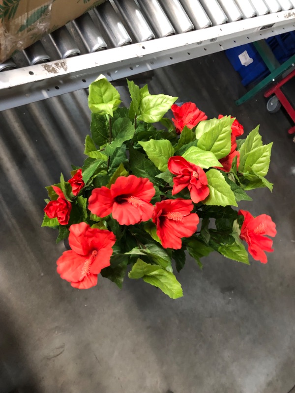 Photo 4 of ***USED - NO PACKAGING - SEE PICTURES***
Nearly Natural 4’ Hibiscus Artificial Tree, 4ft, Green