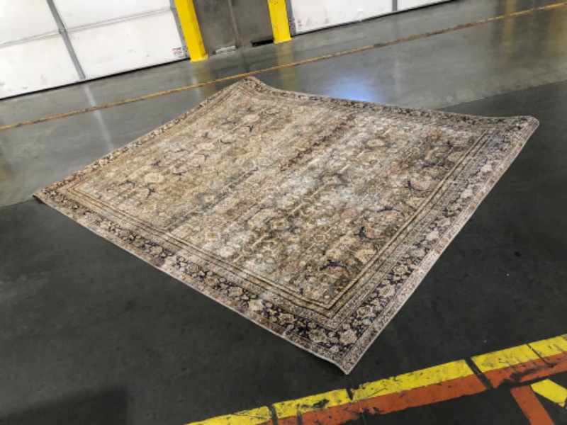 Photo 4 of ***USED - COVERED IN STICKY TAPE RESIDUE - NO PACKAGING - SEE PICTURES***
Loloi Layla Collection, LAY-03, Olive/Charcoal, 7'-6" x 9'-6", 13" Thick, Area Rug, Soft, Durable, Vintage Inspired, Distressed, Low Pile, Non-Shedding, Easy Clean, Printed, Living 