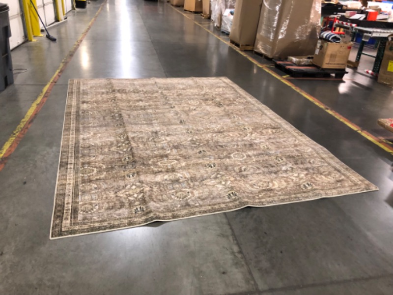 Photo 3 of ***USED - DIRTY - NO PACKAGING***
Loloi LAYLA Collection, LAY-13, Antique/Moss, 9'-0" x 12'-0", 13" Thick, Area Rug, Soft, Durable, Vintage Inspired, Distressed, Low Pile, Non-Shedding, Easy Clean, Printed, Living Room Rug Antique / Moss 9'-0" x 12'-0"