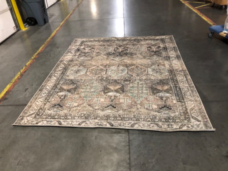 Photo 3 of ***TORN/FRAYED - NO PACKAGING - DIRTY - SEE PICTURES***
Loloi Amber Lewis x Billie Collection, Clay & Sage 7'-6" x 9'-6" Area Rug – Antique & Distressed Accent Rugs 