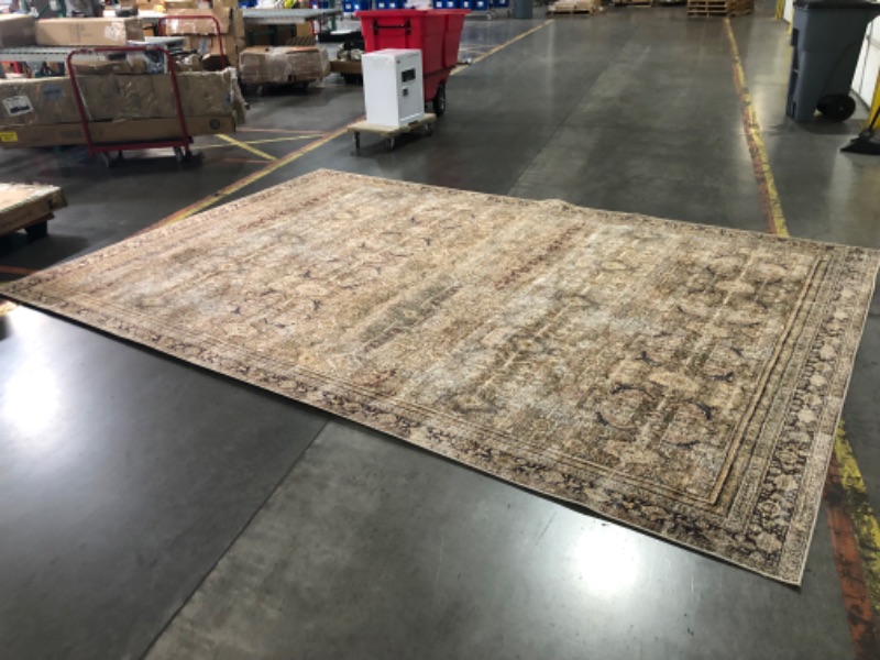 Photo 3 of ***USED - DIRTY - NO PACKAGING***
Loloi LAYLA Collection, LAY-03, Olive / Charcoal, 9'-6" x 14', .13" Thick, Area Rug, Soft, Durable, Vintage Inspired, Distressed, Low Pile, Non-Shedding, Easy Clean, Printed, Living Room Rug