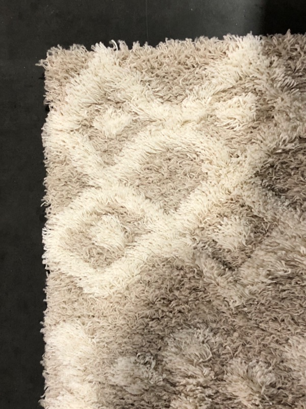 Photo 4 of ***USED - DIRTY - NO PACKAGING***
Livabliss Hapsburg Moroccan Shag Area Rug, 6'7" x 9'6", Beige Beige 6'7" x 9'6"