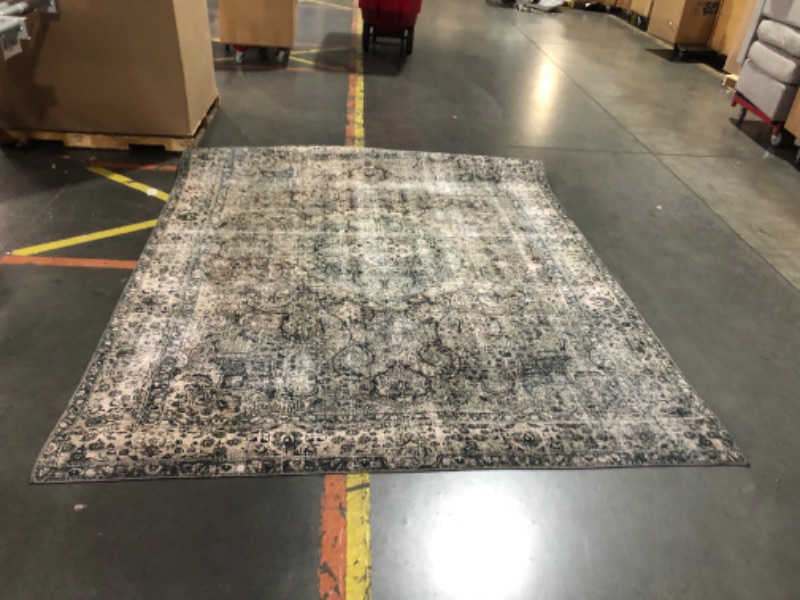 Photo 3 of ***USED - DIRTY - NO PACKAGING***
Loloi Layla 7'-6" x 9'-6" Area Rug in Taupe/Stone - Thick Area Rug, Soft Area Rug with, Vintage Inspired Distressed Design, Low Pile, Non-Shedding, Easy Clean, Durable Living Room Rug