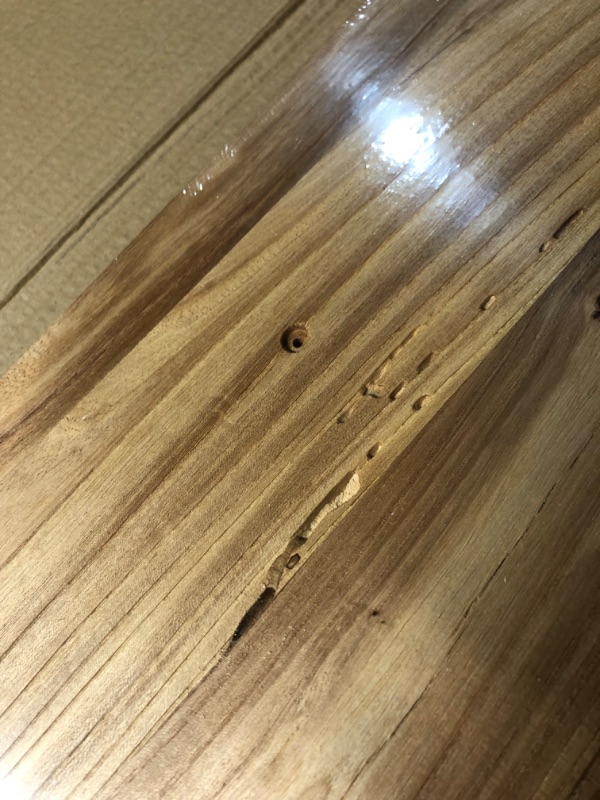 Photo 2 of ***USED - FULL OF HOLES - SEE PICTURES***
Rustic Elm Wood Floating Shelves for Wall, Live Edge 9.3" Deep Wall Shelf with Invisible Bracket, Large Long Wall Mounted Storage Shelves for Living Room, Bedroom, Kitchen, Bathroom Decor