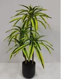 Photo 1 of **MAJOR DAMAGE TO POT, PLANT STILL FUNCTIONAL**
Origin 21 34-in Green and Black Indoor Dracaena Artificial Plant