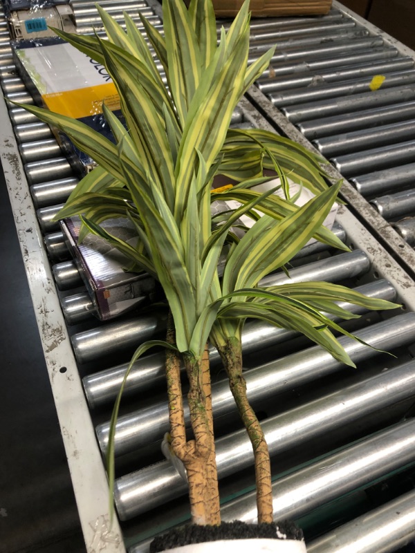 Photo 5 of **MAJOR DAMAGE TO POT, PLANT STILL FUNCTIONAL**
Origin 21 34-in Green and Black Indoor Dracaena Artificial Plant