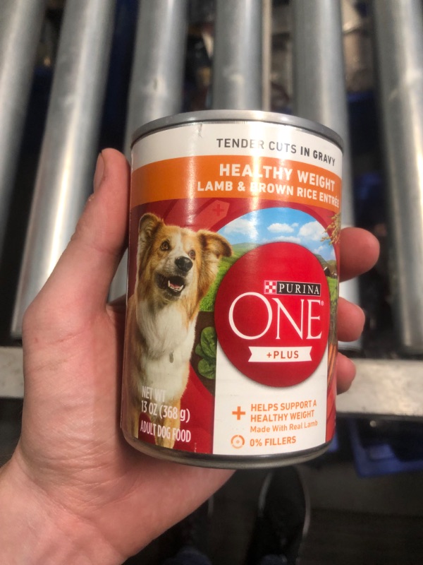 Photo 2 of ***(EXP2026: )NONREFUNDABLE***Purina One Wet Dog Food, Wholesome Lamb & Brown Rice - 12 pack, 13 oz cans