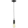 Photo 1 of 
Globe Electric
1-Light Vintage Edison Matte Black Mini Pendant