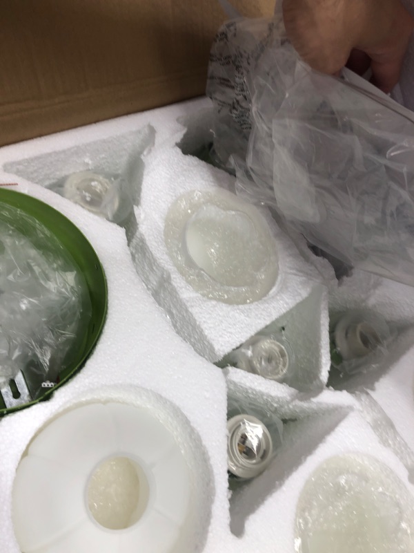 Photo 3 of ***USED - LIKELY MISSING PARTS - UNABLE TO VERIFY FUNCTIONALITY***
DIGLED Flower Ceiling Fan with Light: Green Flower Fan Lights for Girls Bedroom - Flush Mount Fandelier for Living Room - 5-Light Modern Chandelier with Fan for Home Decor Enthusiasts